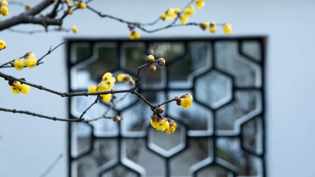 耳鸣能致聋吗,神经性耳鸣的发展过程