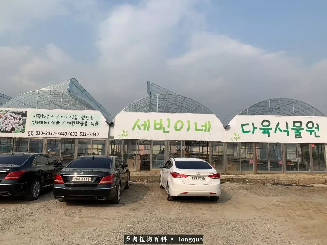 探访韩国肉锥大棚,记一次走访纪录片