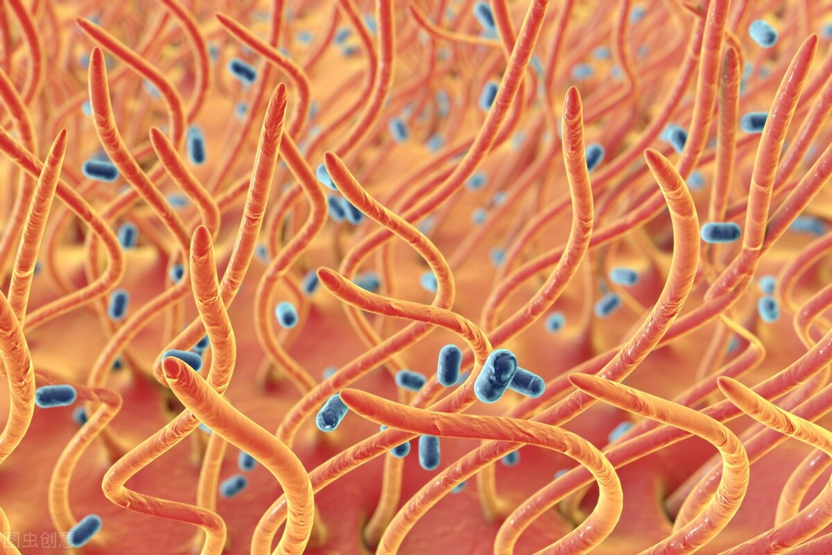 这种病菌1亿年前就有了，后来地球出现人类，它又学会了感染人肺