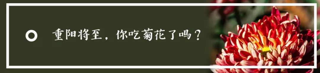北京胡同小饭馆,北京藏在胡同里的小院饭馆