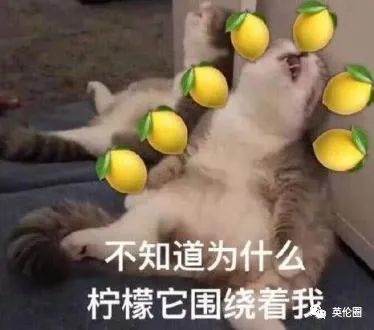 82岁万磁王剑桥毕业伦敦有房，去中国相亲还失败？