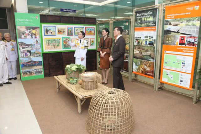 泰国国王出国避难,泰国国王带妃子入住德国酒店