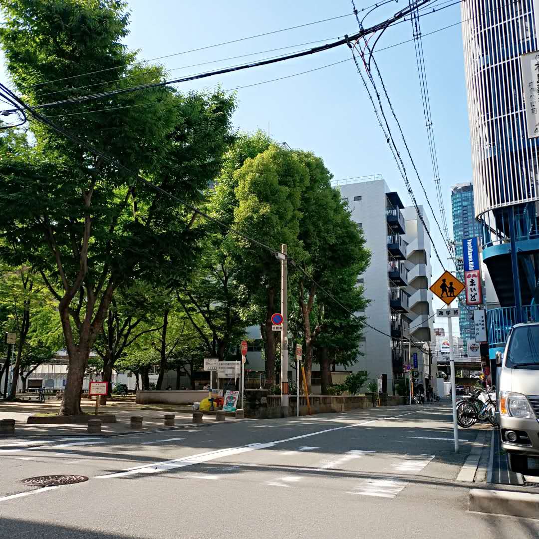 日本大阪关西机场到奈良怎么去,大阪奈良自由行攻略玩转日本之旅