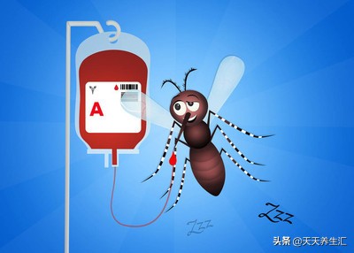 蚊子传染艾滋病毒吗,蚊子会传染艾滋病吗