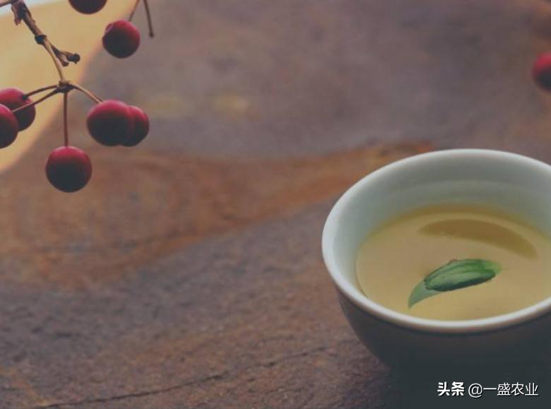 俗语为何说茶满欺人酒满敬人,茶满欺人酒满敬人蕴含着哪些深意