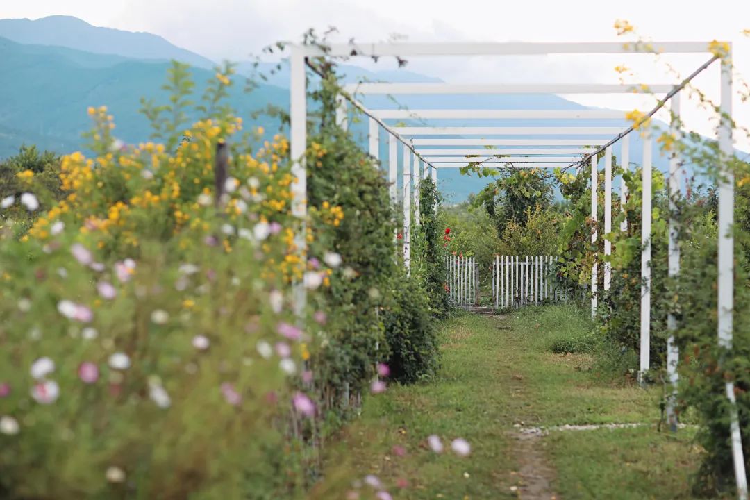 东北哈尔滨夫妻,一对夫妻打造云南的家