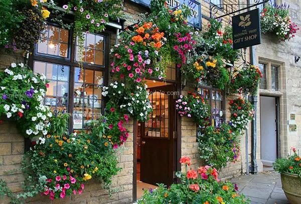 怎么开花店最赚钱,开花店初期创业真实经历