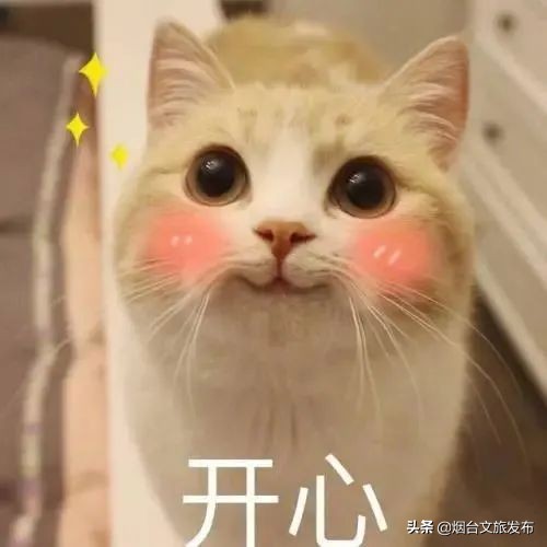 又大又甜的猕猴桃等你来采摘,招远猕猴桃采摘园在哪