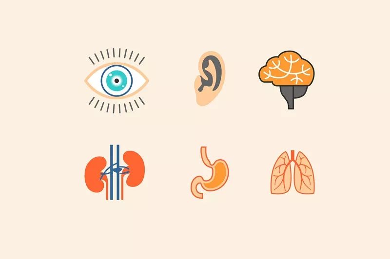 立竿见影的胃痛治法，小白都能学会