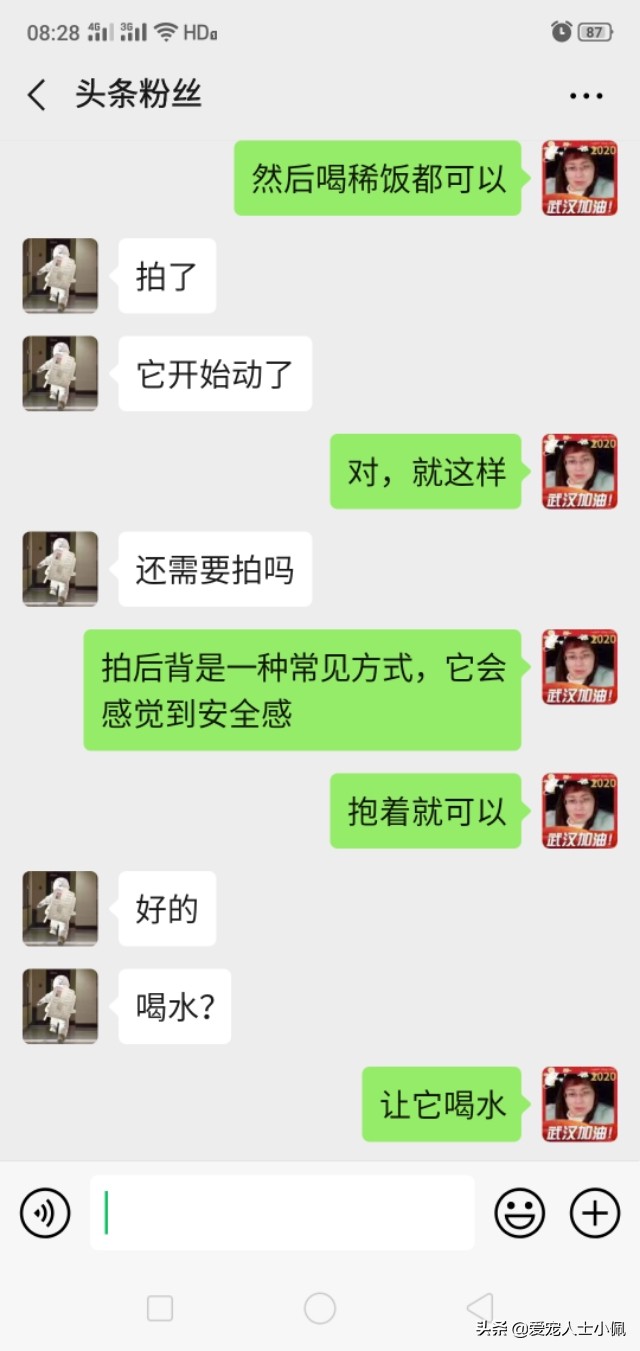 路边捡的小奶狗怎么确定有没有病,疫情期间刚满月的小奶狗