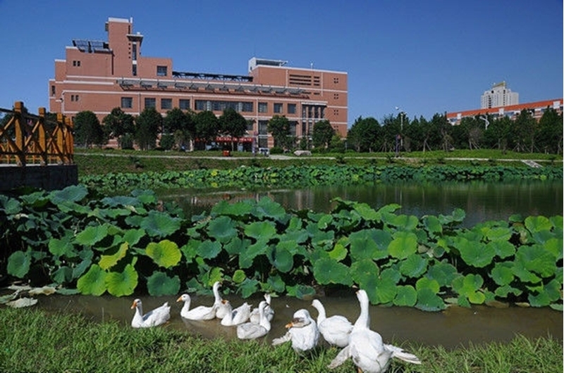 河南理工大学：双一流有戏吗？2021年录取详情，国家专项有点鸡肋