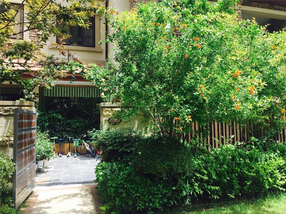 武汉最偏僻的985学校,武汉最难进的12所学校