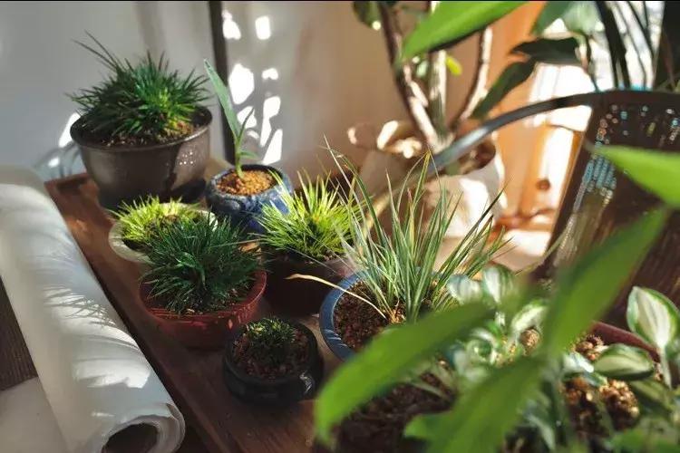 家具全是捡来的,家具都是捡来的