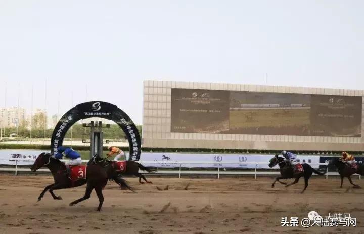 2019年全国速度赛马锦标赛11月2-3日武汉东方马城国际赛马场举行