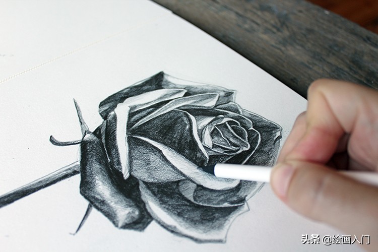 铅笔画玫瑰花黑色的有一点简单,怎么用铅笔画玫瑰花的阴影高光