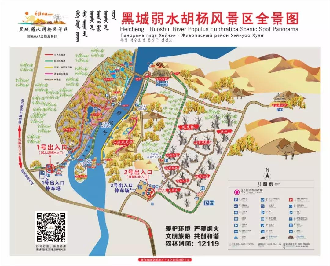 额济纳旅游自由行攻略,额济纳旗旅游最佳省钱攻略