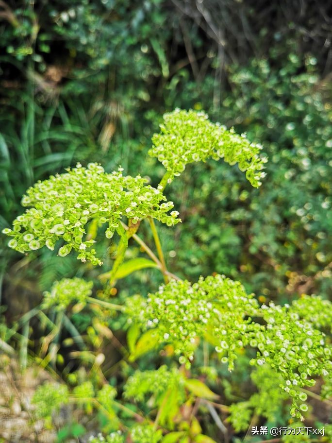 一览众山小的广西绝顶风光,一览众山小的绝美风景视频