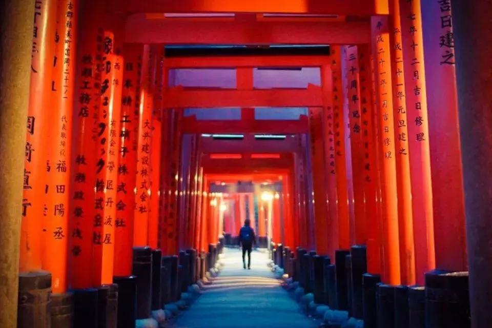 盘点那些年我看过的日本美景,日本美景8k超高清