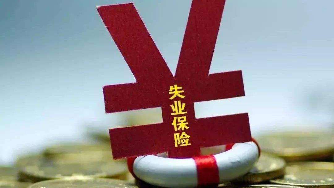 失业了为什么还在缴纳失业保险金,为什么不建议领取失业保险