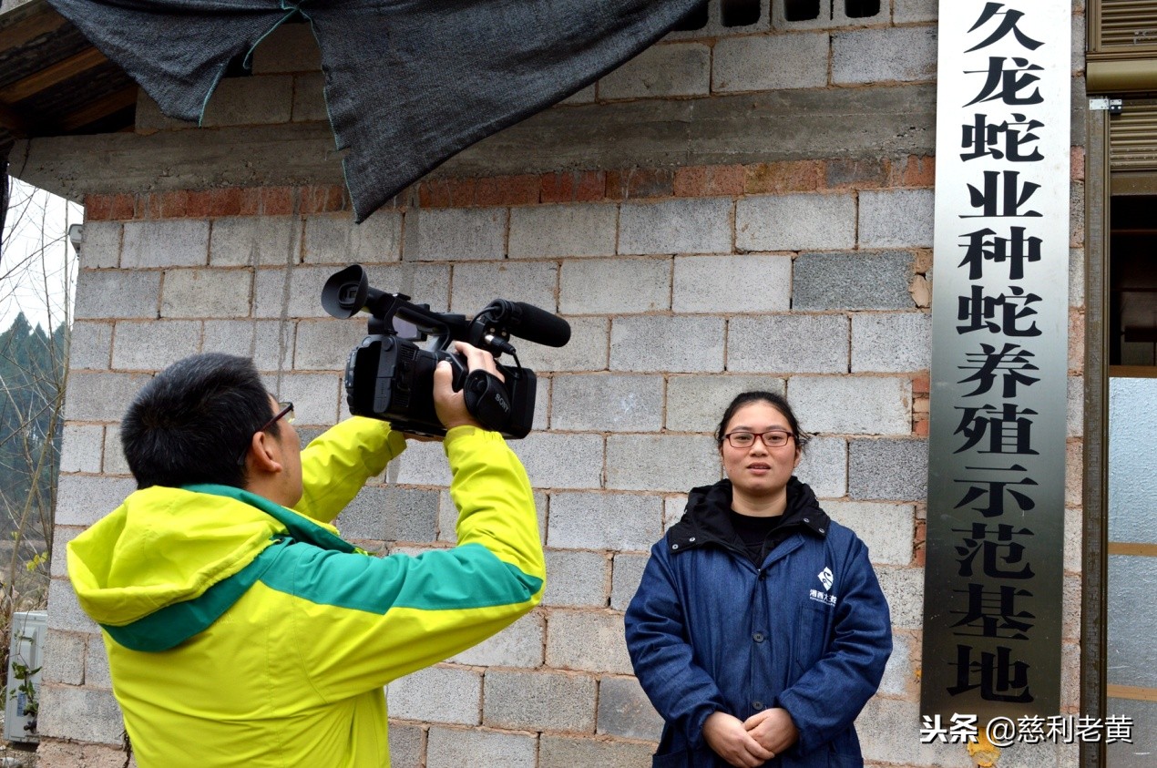 慈利“蛇女”赵婷的养蛇致富故事