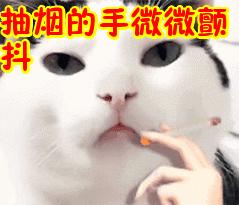 75岁以上老人肺上出问题能活多久,74岁老人肺部长了石头还能活多久