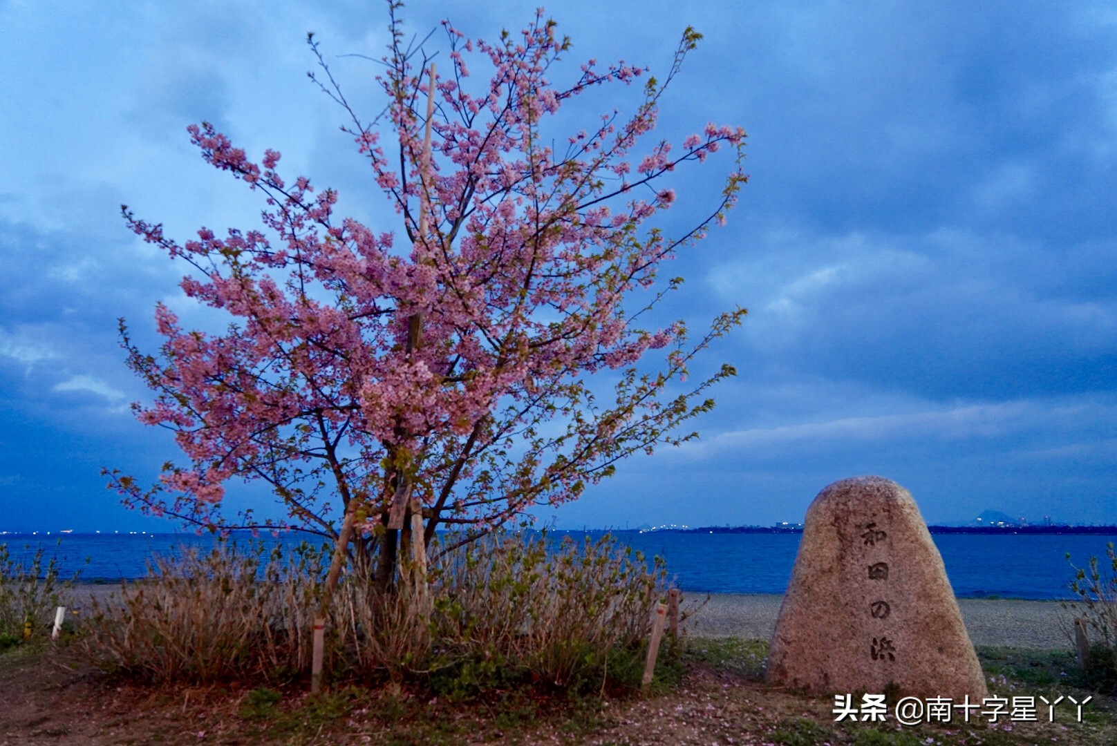 日本寻樱之旅|住一间神仙级体验的动漫手办民宿