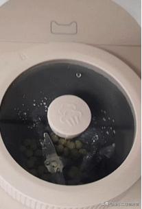 豆浆机太大了不能榨少量怎么用,豆浆机太大了放哪