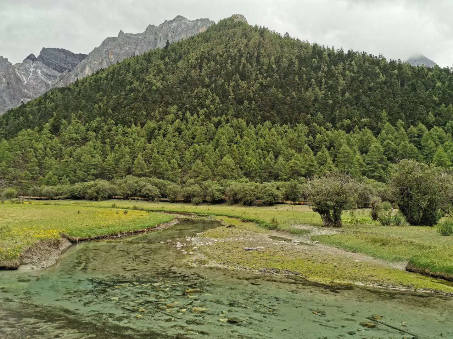 几月去稻城亚丁比较好,几月去稻城亚丁好看