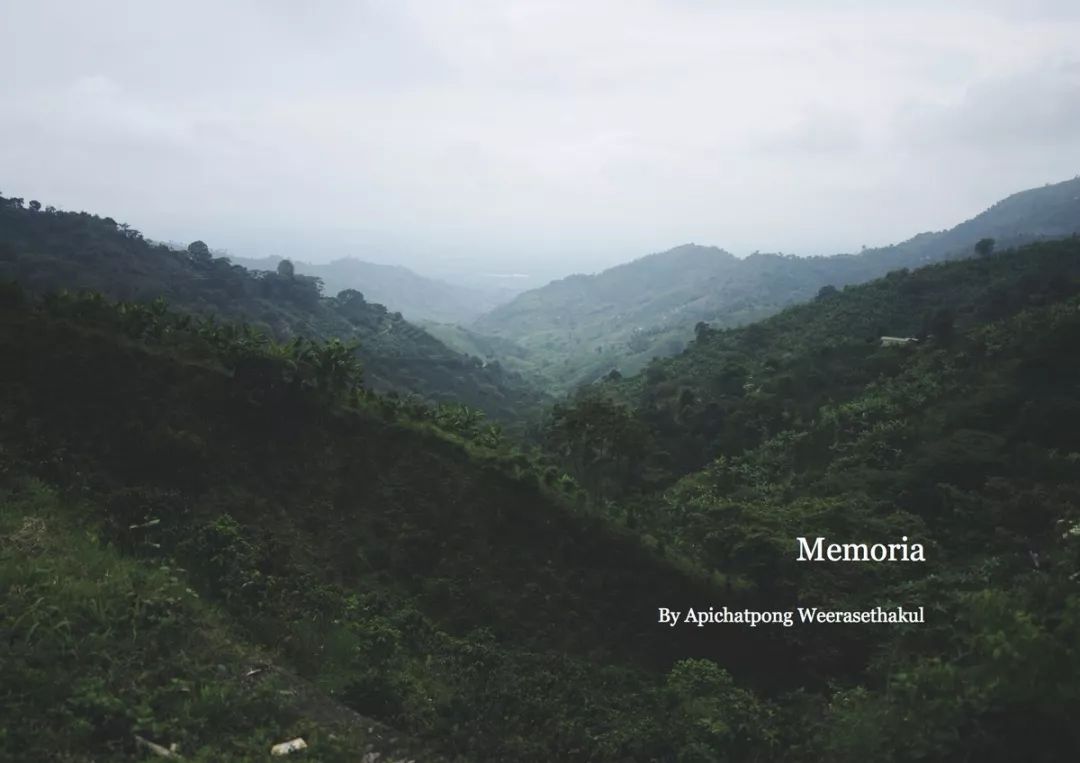 最好的100部电影,100部最值得看的电影解析