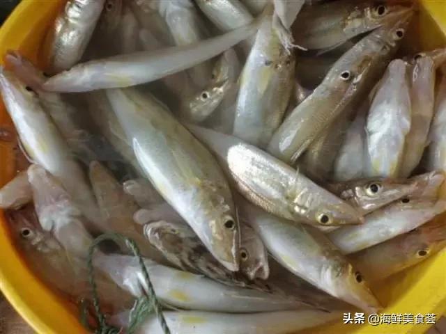 常见的鱼虾蟹等海鲜的认识,虾蟹类海鲜大全