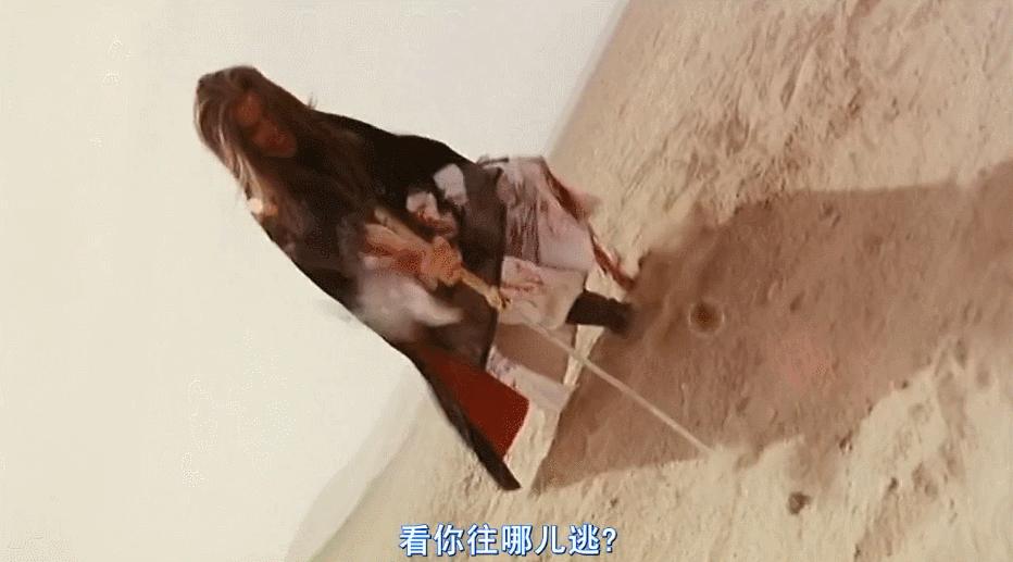 甄子丹最巅峰武打片,甄子丹功夫排第几