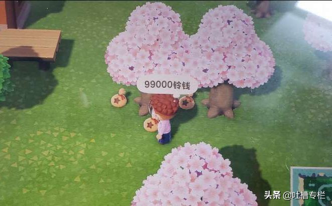 动物之森结婚,动物之森谈恋爱