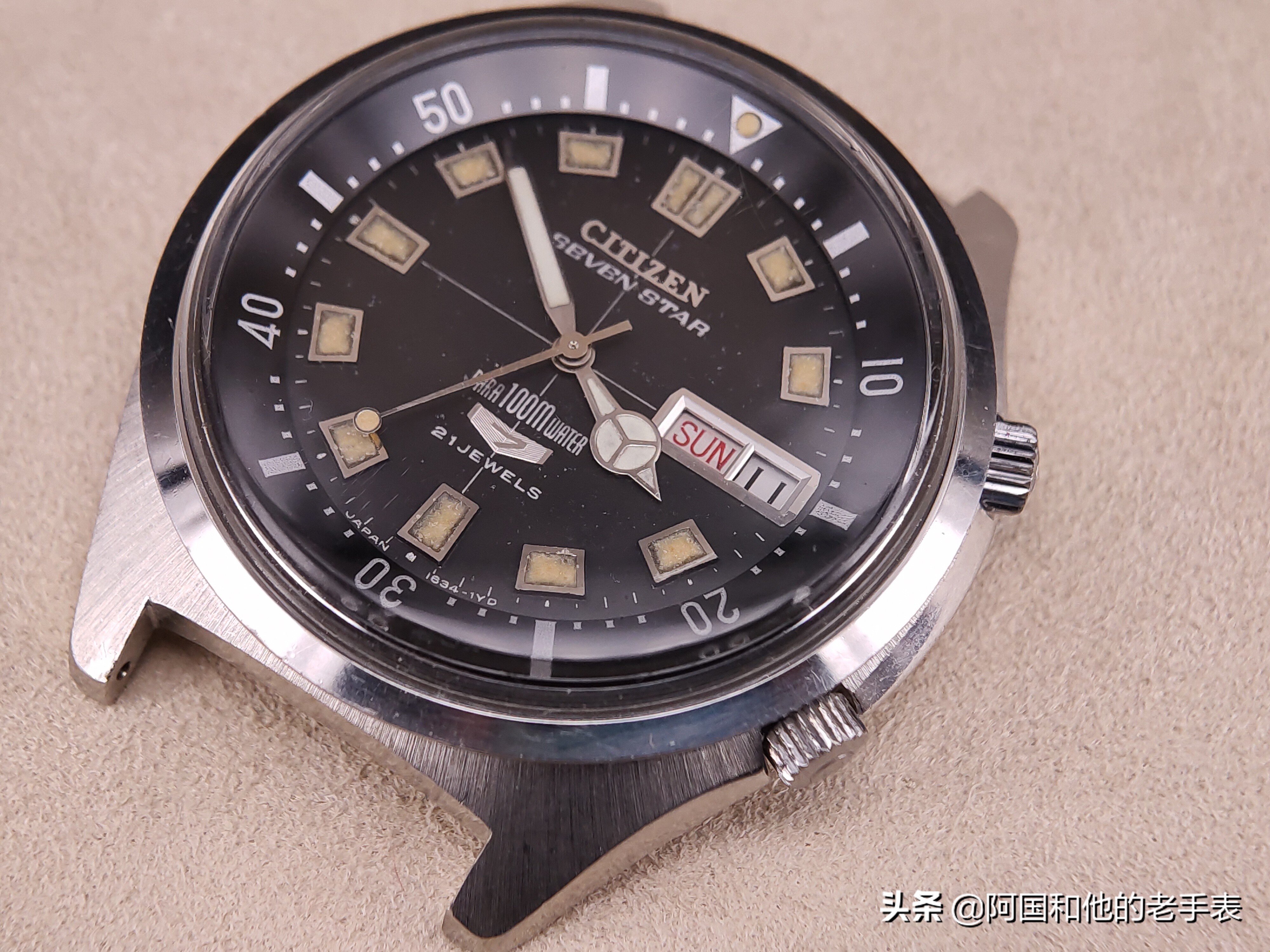 50年后的相见两只西铁城水鬼