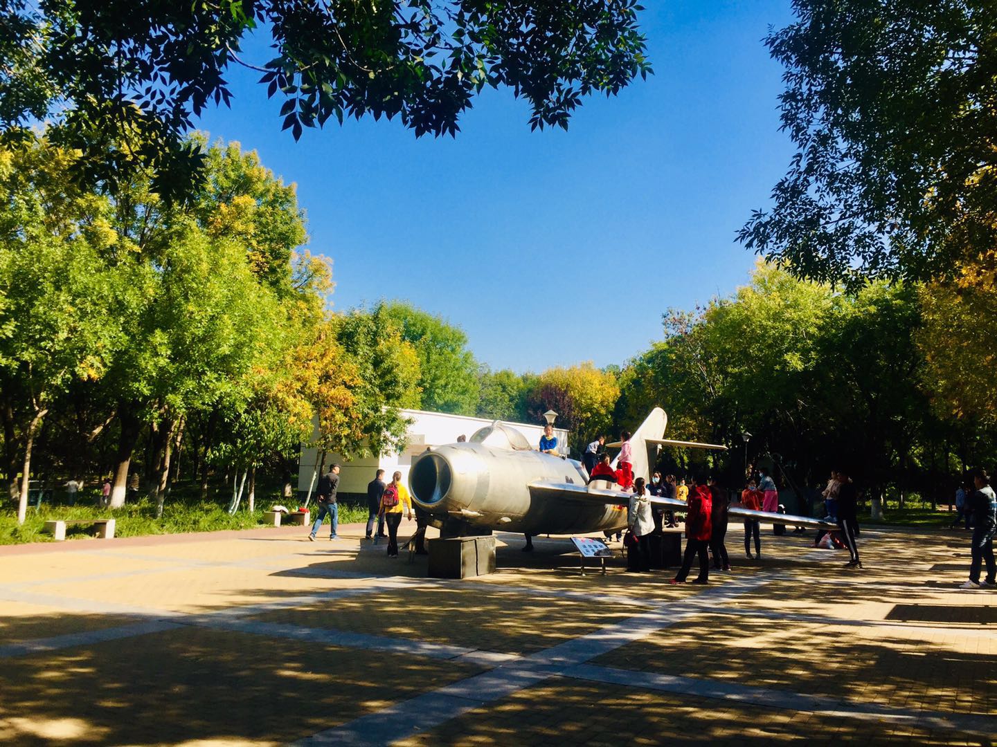 天津森林公园儿童乐园项目介绍,滨海新区适合带孩子玩的公园