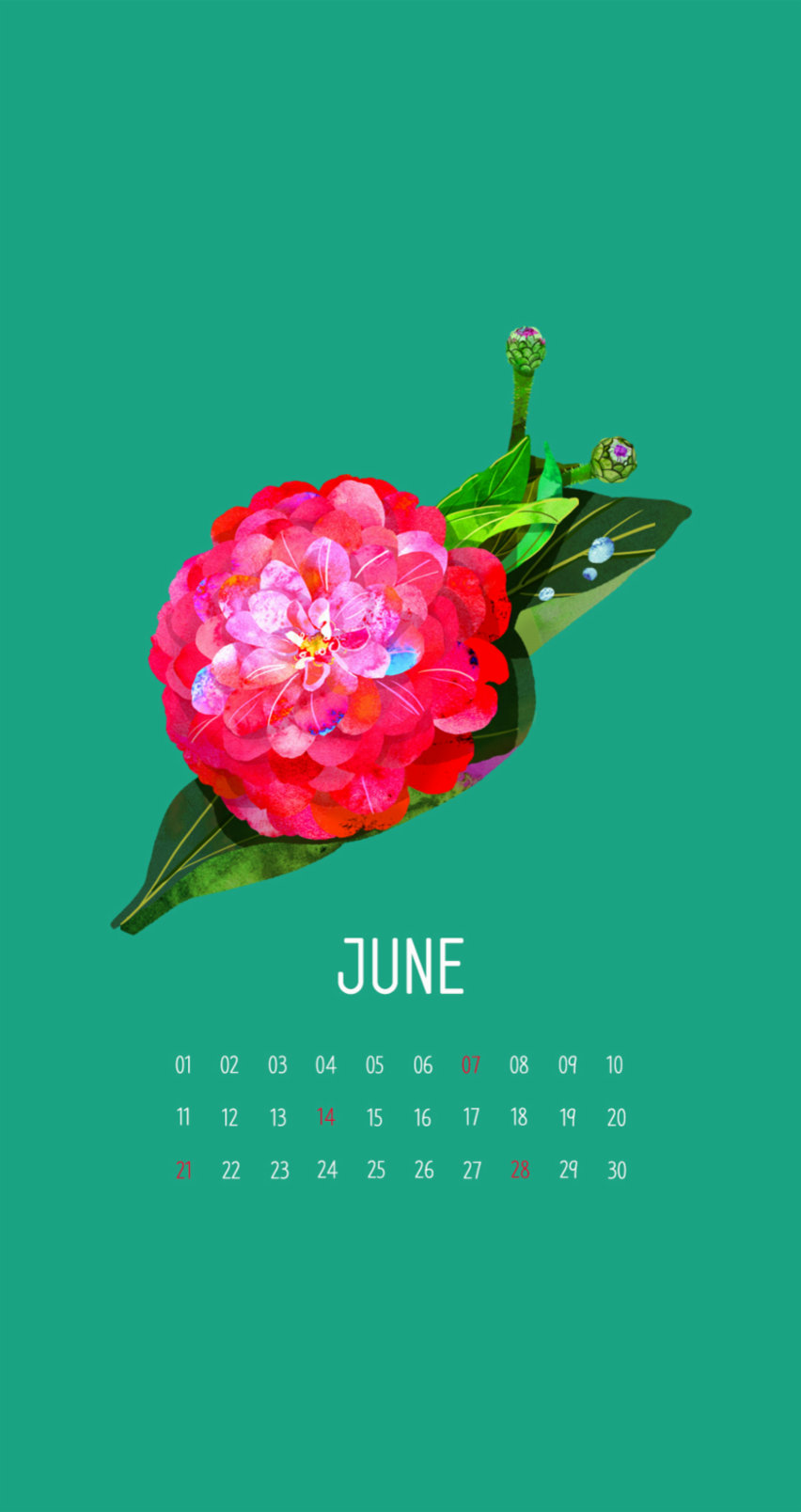 日历壁纸超清全屏,日历倒计时动态壁纸