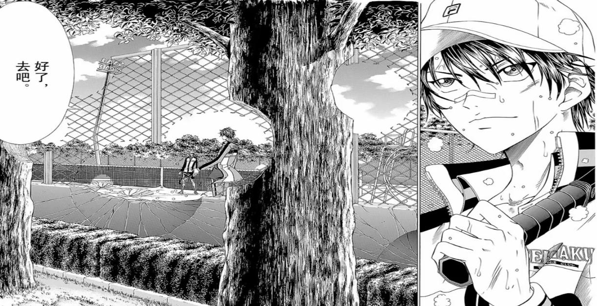 网球王子进化图,网球王子变身