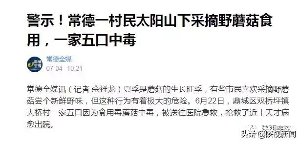 野生蘑菇吃的时候怎么辨别有毒,警惕野生蘑菇不能随便采谨慎中毒