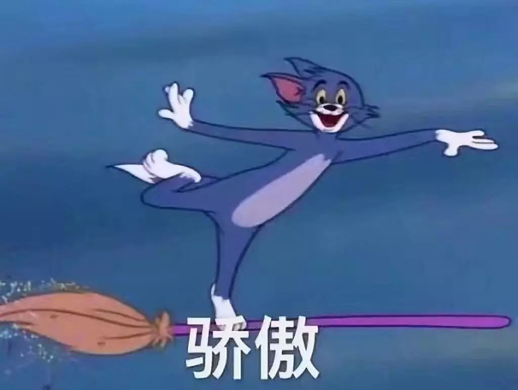 春节回家猫咪咋办,过年回老家猫咪怎么办