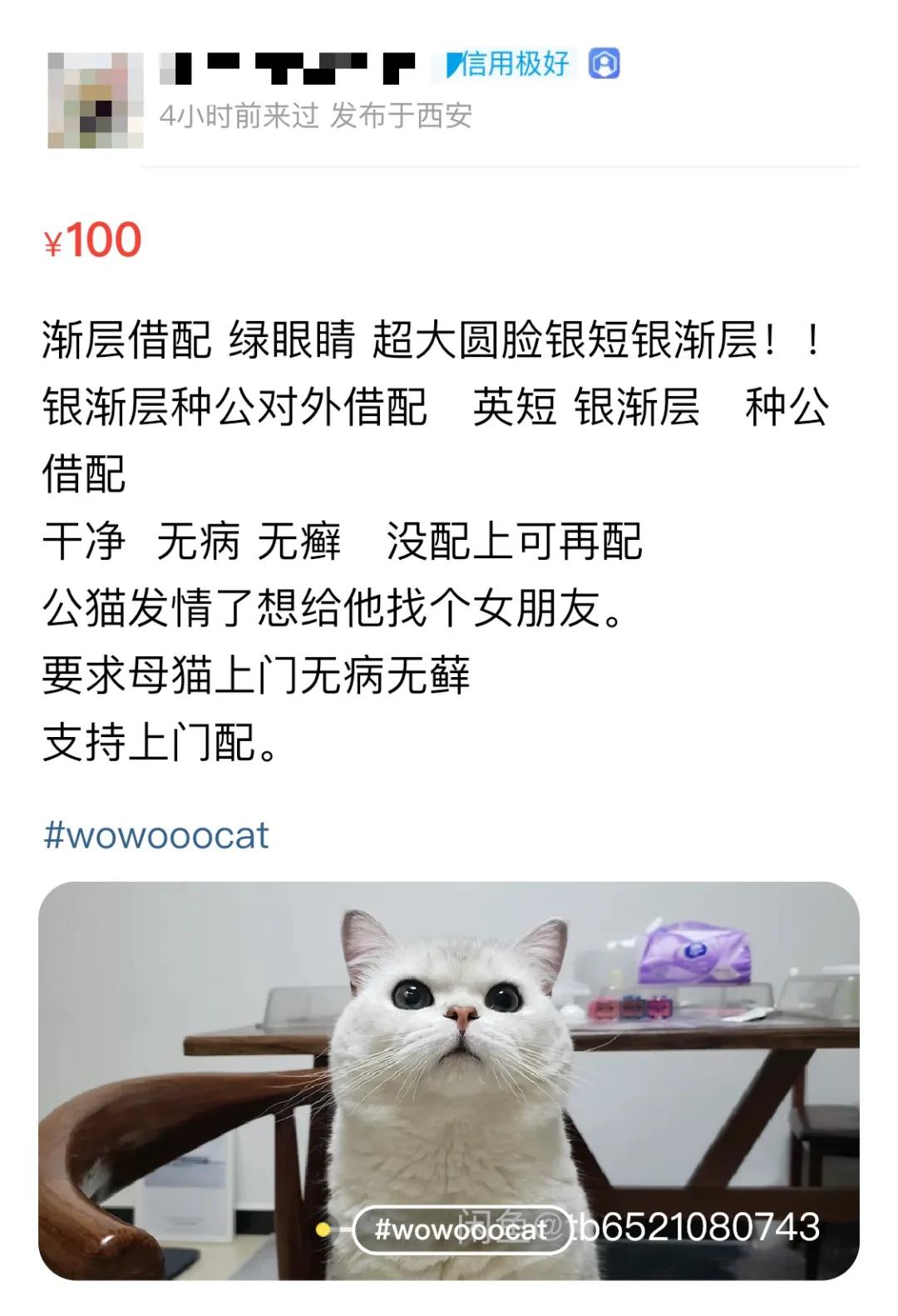 后浪闲鱼电商,后浪现在的直播