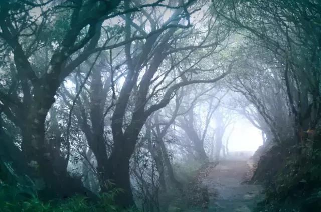 贵州旅游住宿攻略大全推荐,贵州旅游攻略几月份去好点