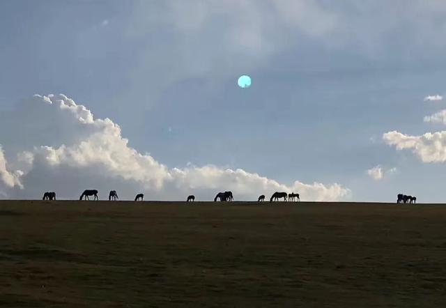 少年骑马去越野，自驾15天横穿小国家，硬核车手爸爸还输了