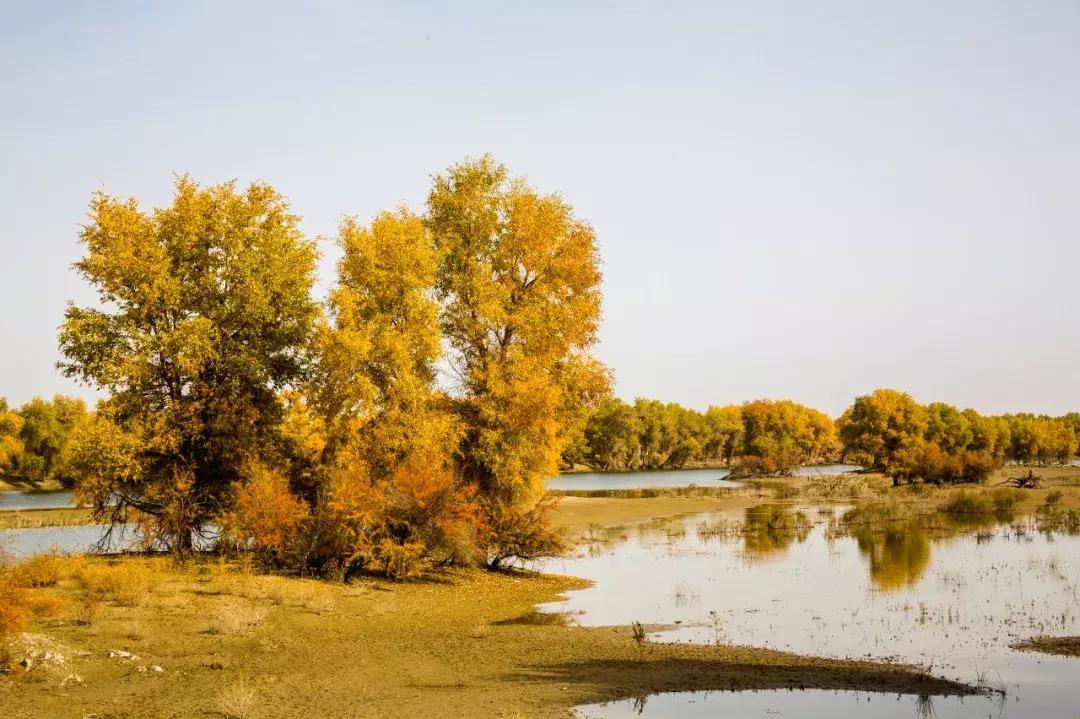 新疆的北疆和南疆哪个更美,北疆新疆之美