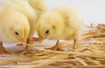 液态固态气态五种状态,固态液态和气态哪个能量高