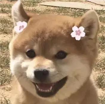 深圳广州梅州高铁什么时候开通,梅州高铁开通时间