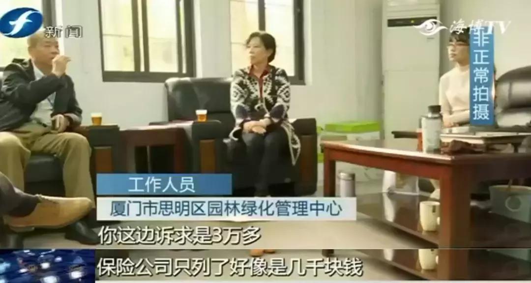 好险|大爷公园漫步，硕大枝条垂直戳下，再偏毫厘后果不敢想！