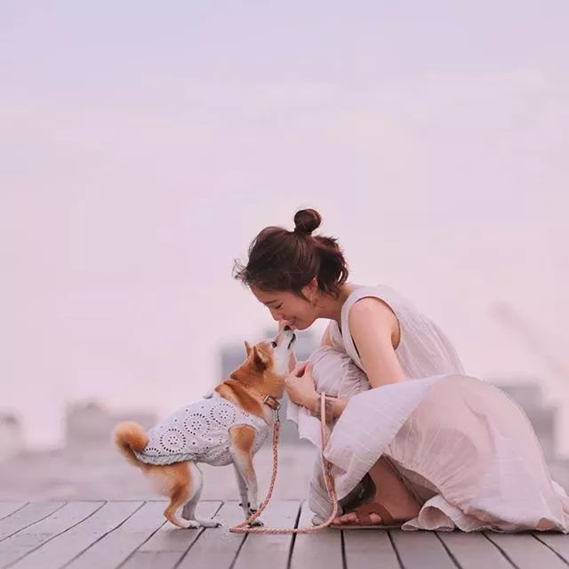 比人还会拍照的狗，简直萌炸朋友圈了