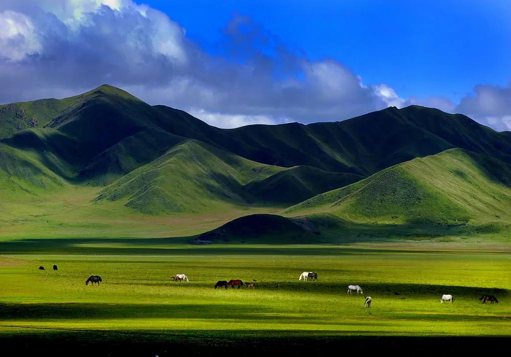 中国地大物博，知道东、南、西、北极在哪里吗？