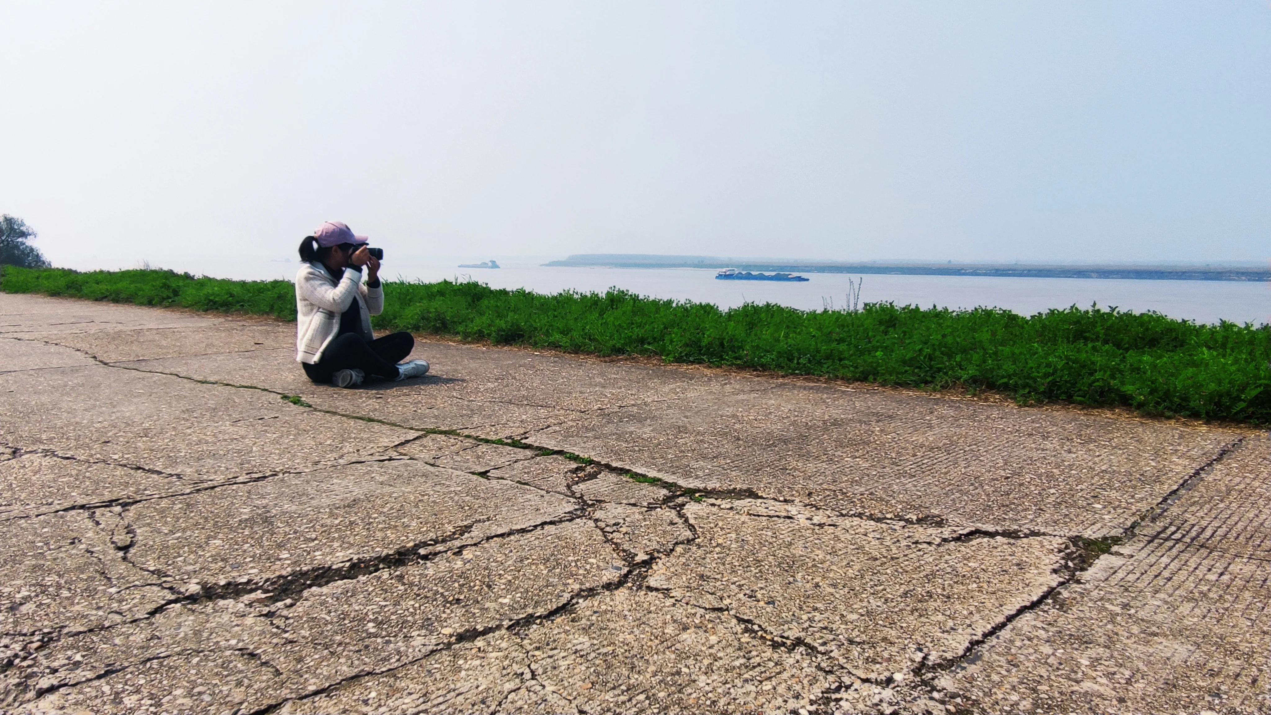 临湘江南油菜花,临湘江南公社长江村国际油菜节