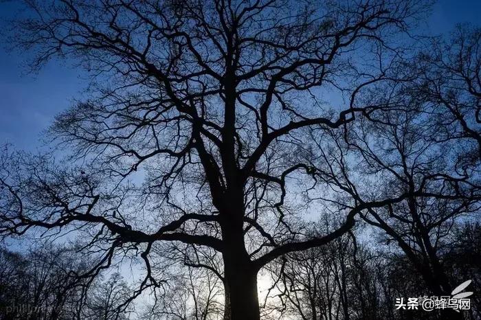 经典广角镜头,那些惊艳众人的封神镜头