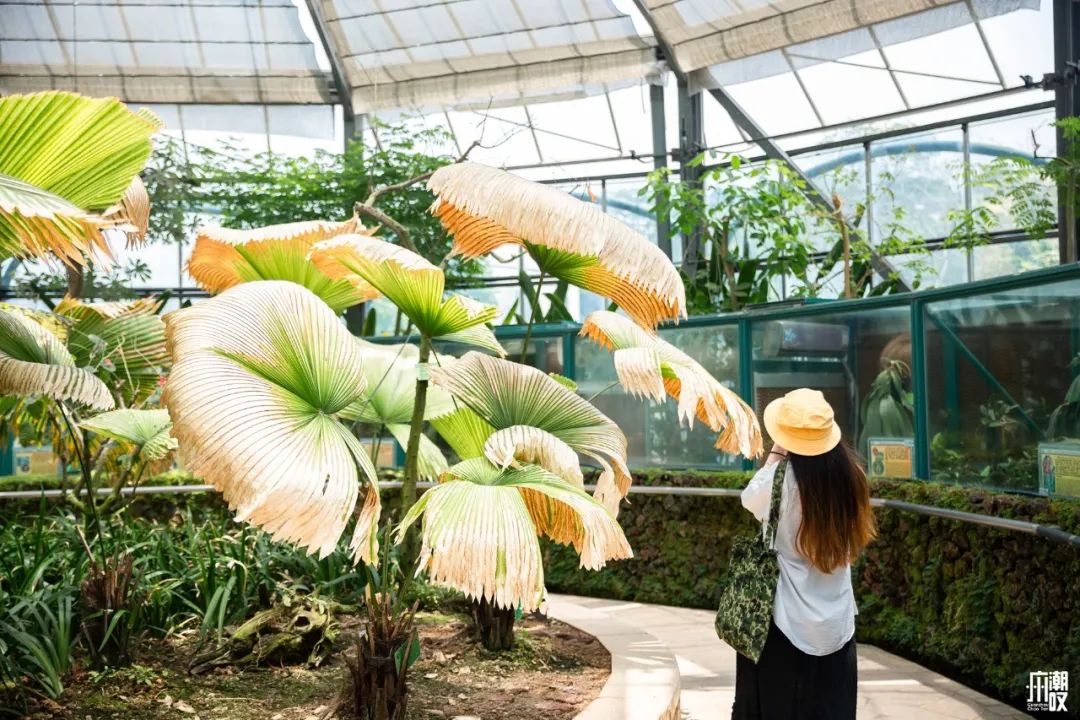 300+万㎡原始森林秘境，天河就有